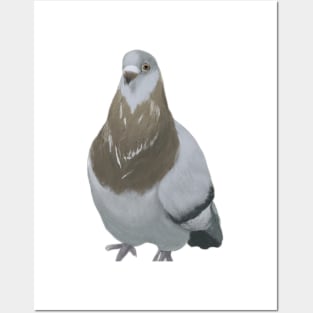 Cute Pigeon Drawing Posters and Art